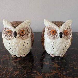 Ceramic Owl Salt and Pepper Shakers